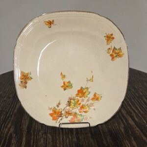 Rare Vintage 1930s Alfred Meakin Banbury Astoria Plate